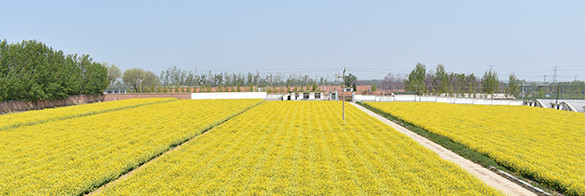 5ef056d86f132.jpg abouttu1.jpg